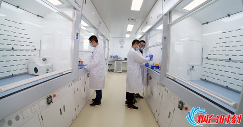 技术咨询服务包括哪些内容？这在生物医药领域尤为重要。