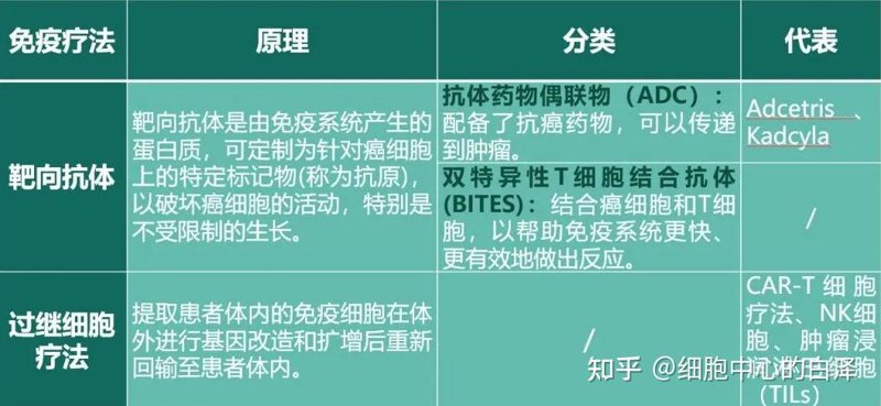 技术咨询服务包括哪些内容？让我们一起探索并深入了解。
