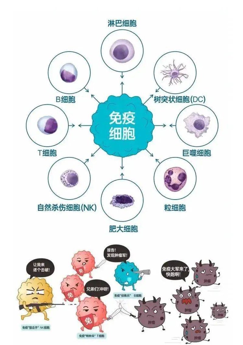 生物制品批签发：从初识到顺利过关