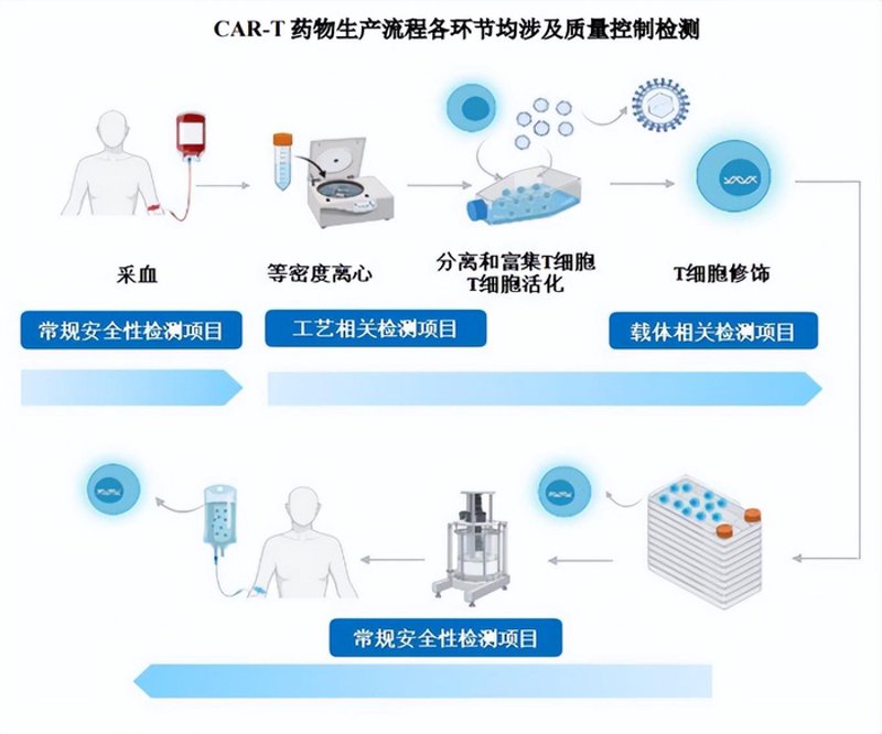 在生物学与工程技术的交汇处，生物工程专业毕业生拥有广阔的职业道路。本文将通过具体案例分析，探讨生物工程专业的就业方向及其发展前景。